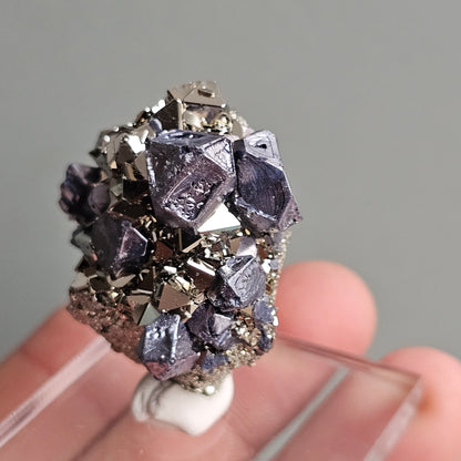 Galena with Pyrite octahedral