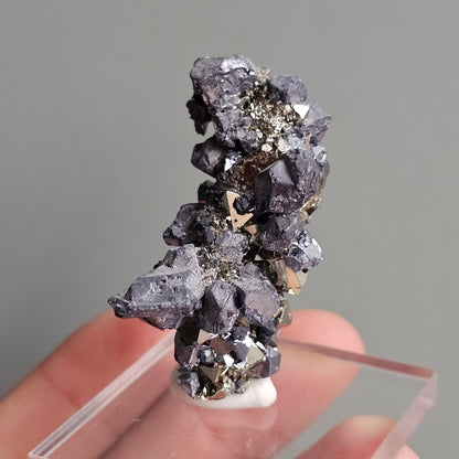 Galena with Pyrite octahedral