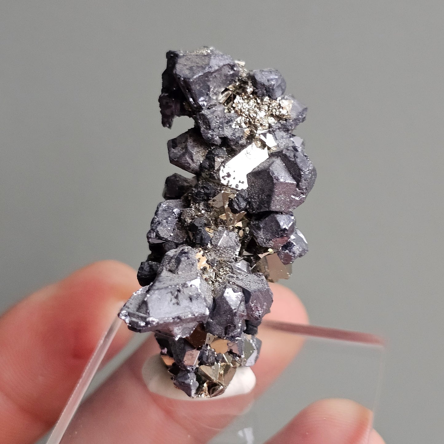 Galena with Pyrite octahedral