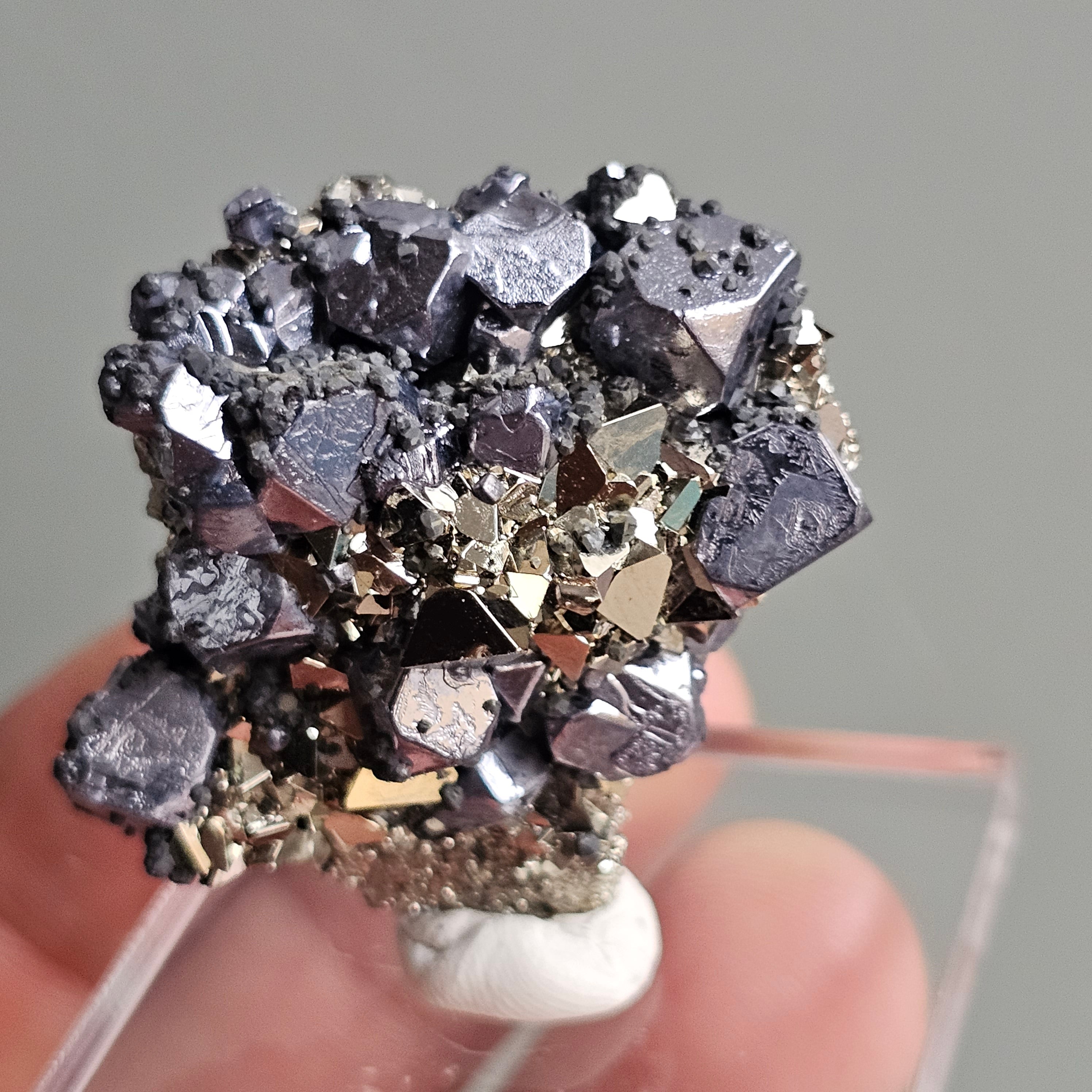 Galena with Pyrite octahedral