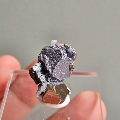 Galena with Pyrite octahedral