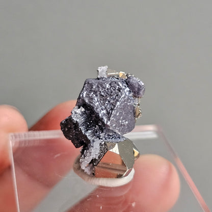 Galena with Pyrite octahedral