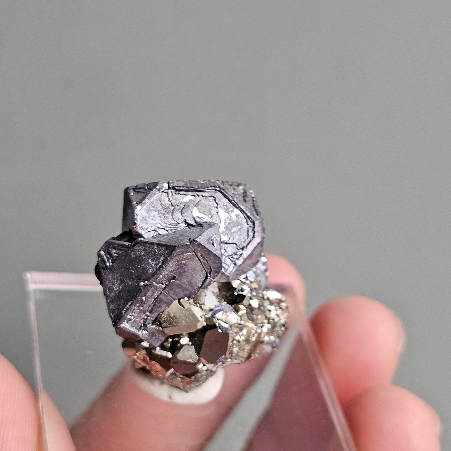 Galena with Pyrite octahedral