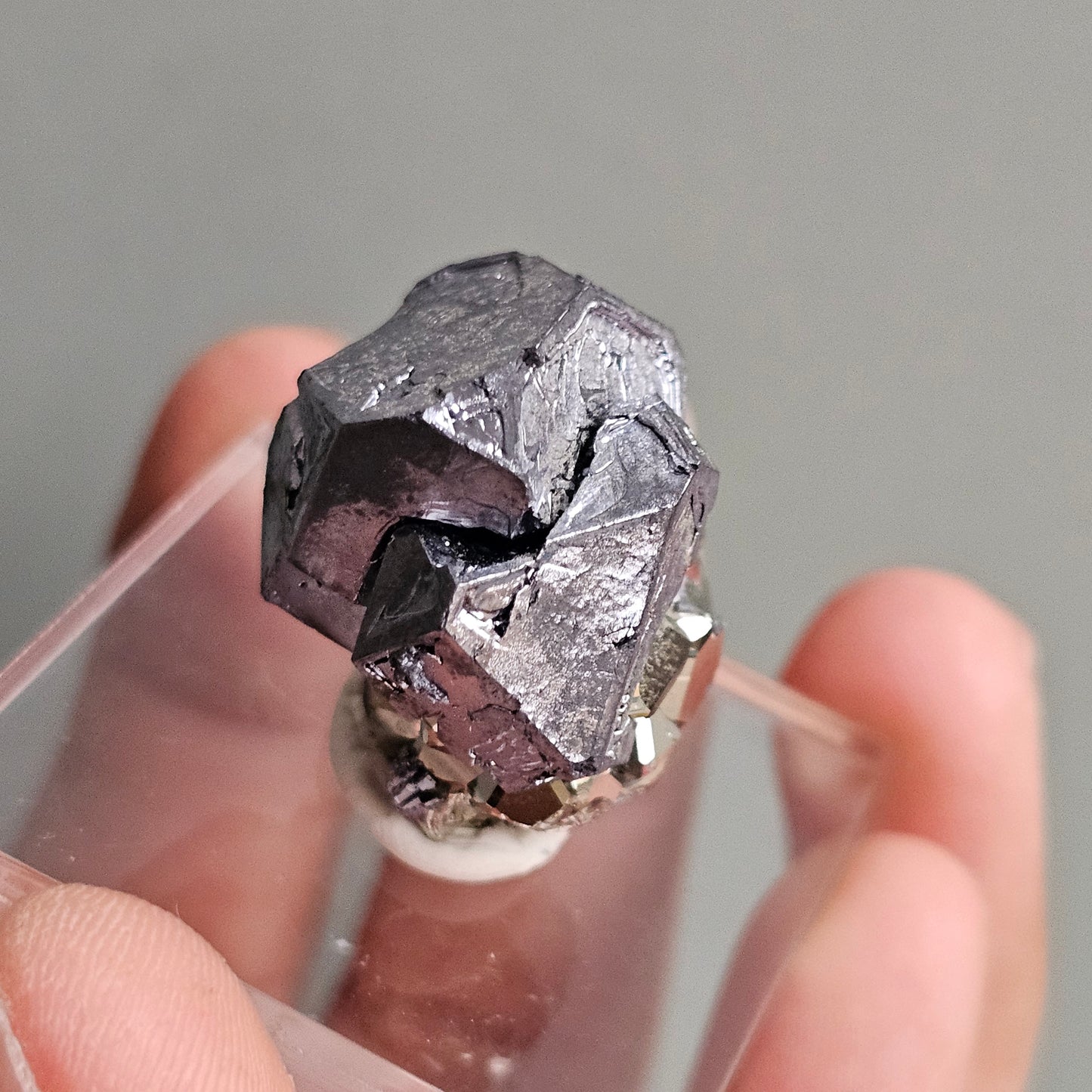 Galena with Pyrite octahedral