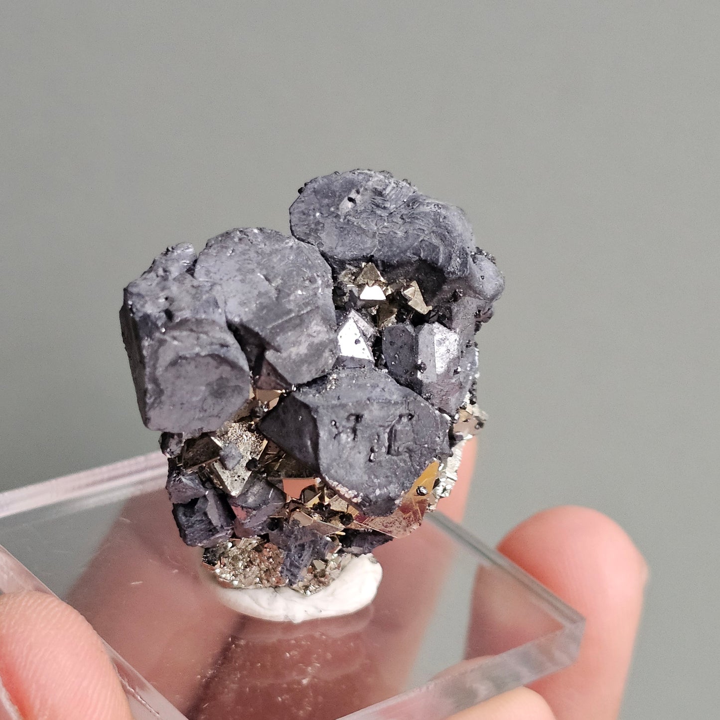 Galena with Pyrite octahedral