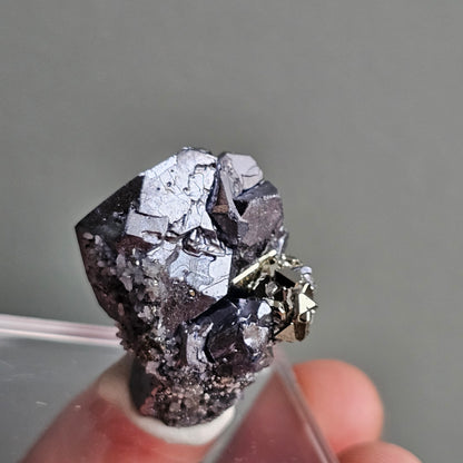 Galena with Pyrite octahedral