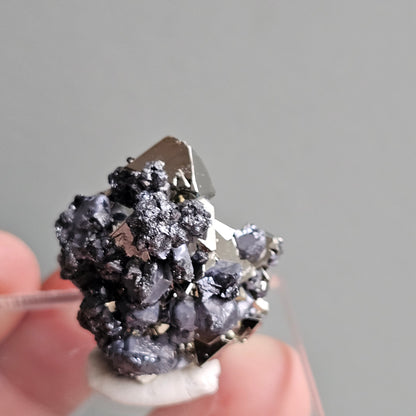 Galena with Pyrite octahedral