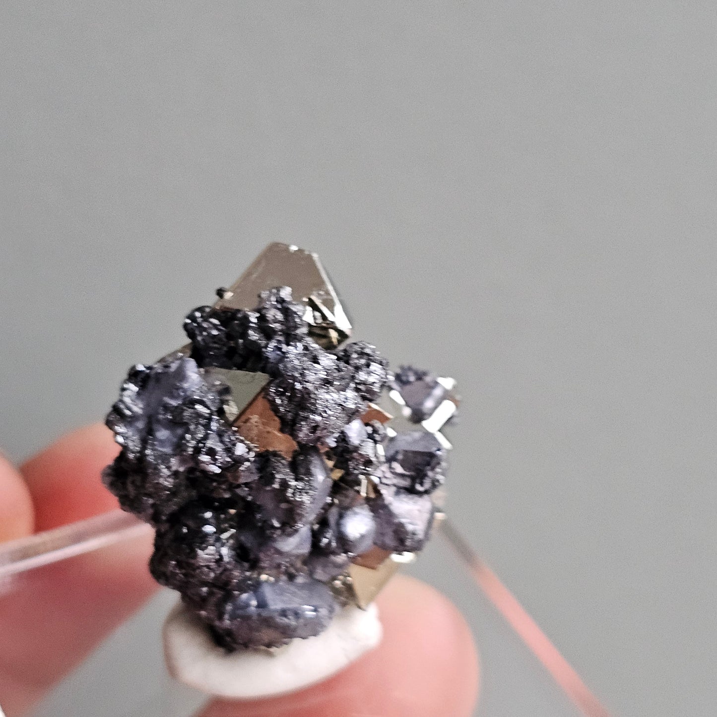 Galena with Pyrite octahedral