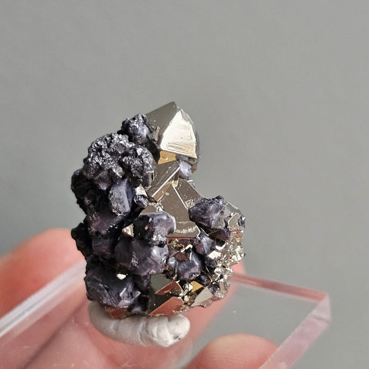 Galena with Pyrite octahedral