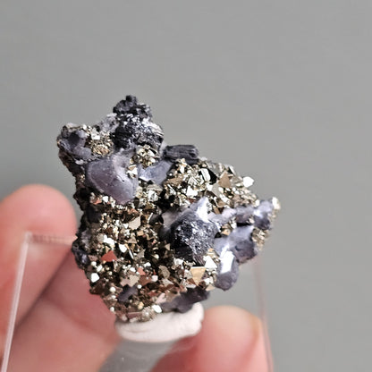 Galena with Pyrite octahedral