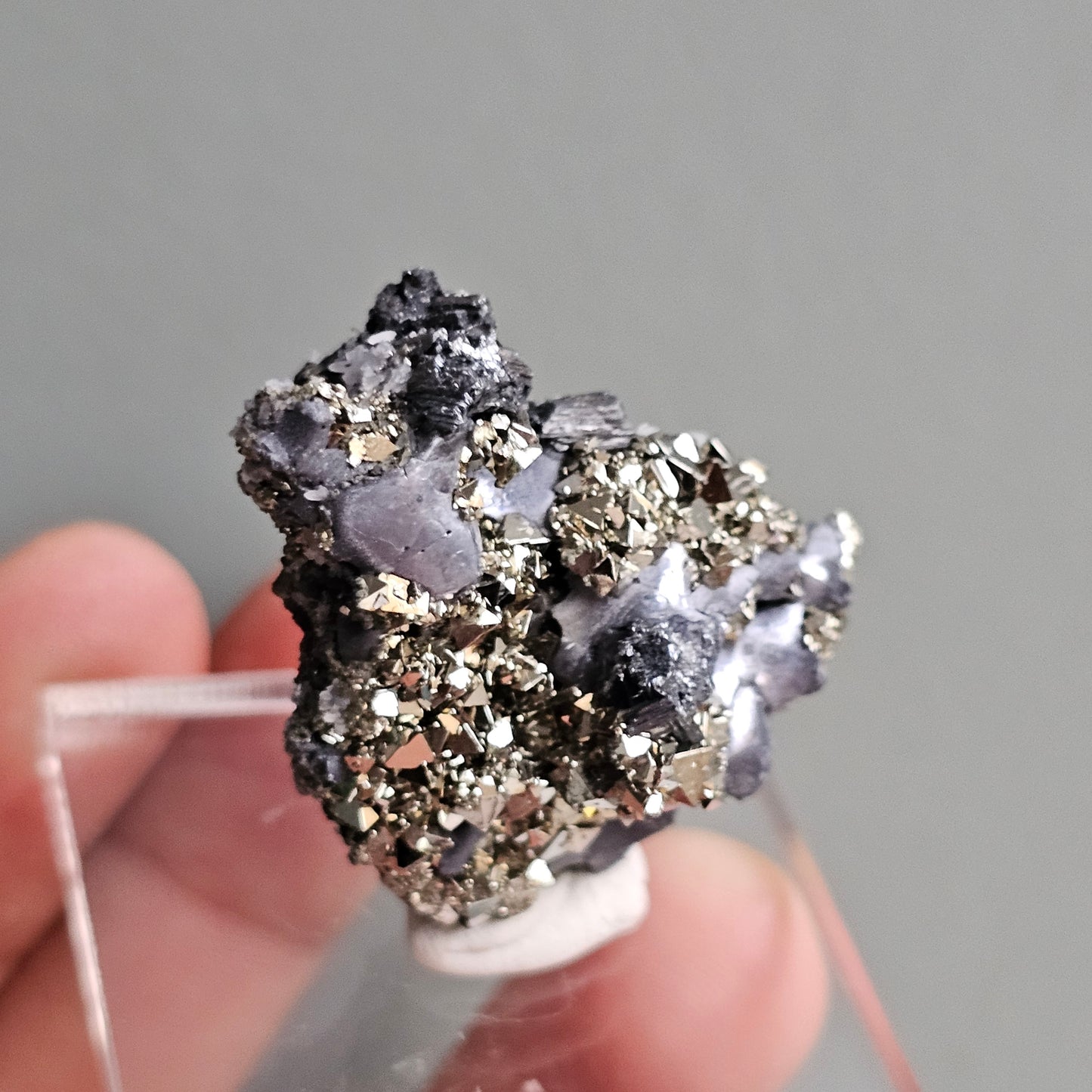 Galena with Pyrite octahedral