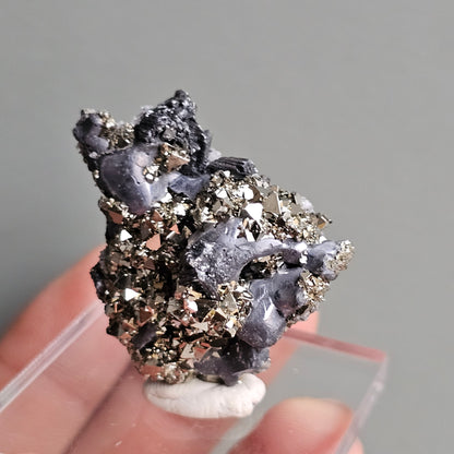 Galena with Pyrite octahedral