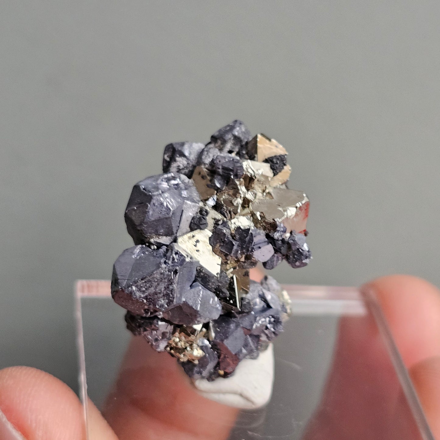 Galena with Pyrite octahedral