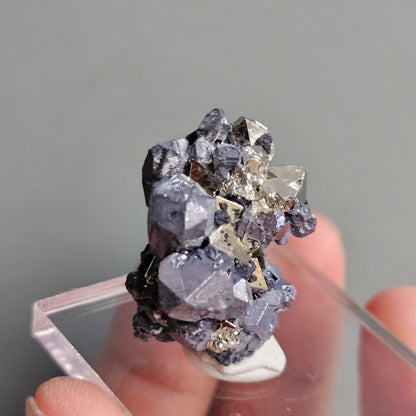 Galena with Pyrite octahedral