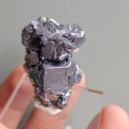 Galena with Pyrite octahedral