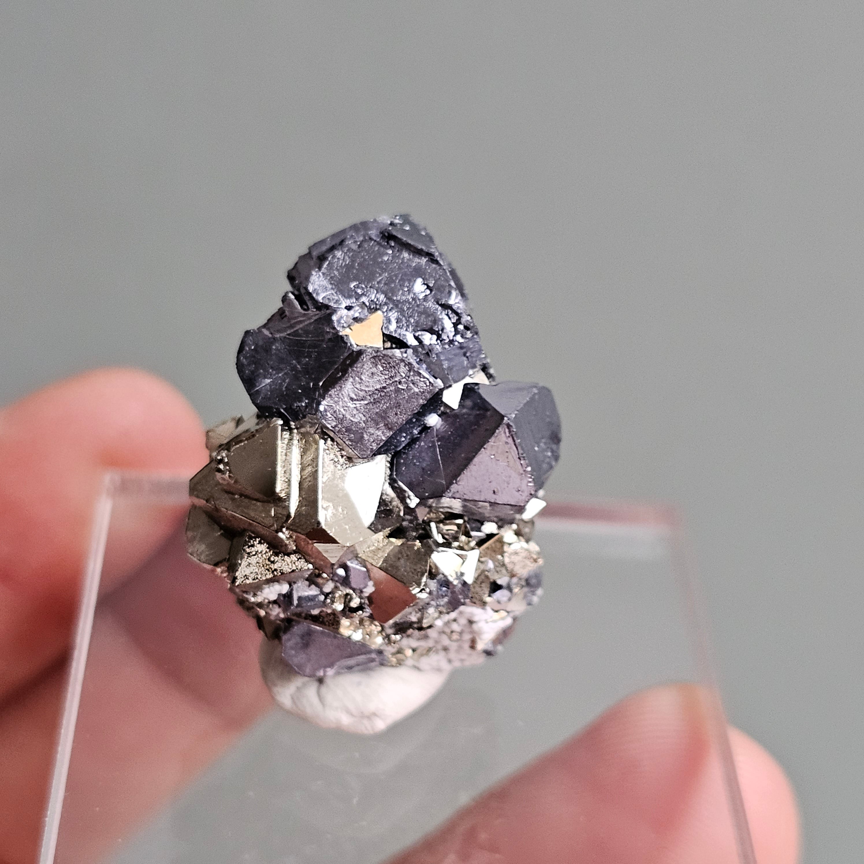 Galena with Pyrite octahedral