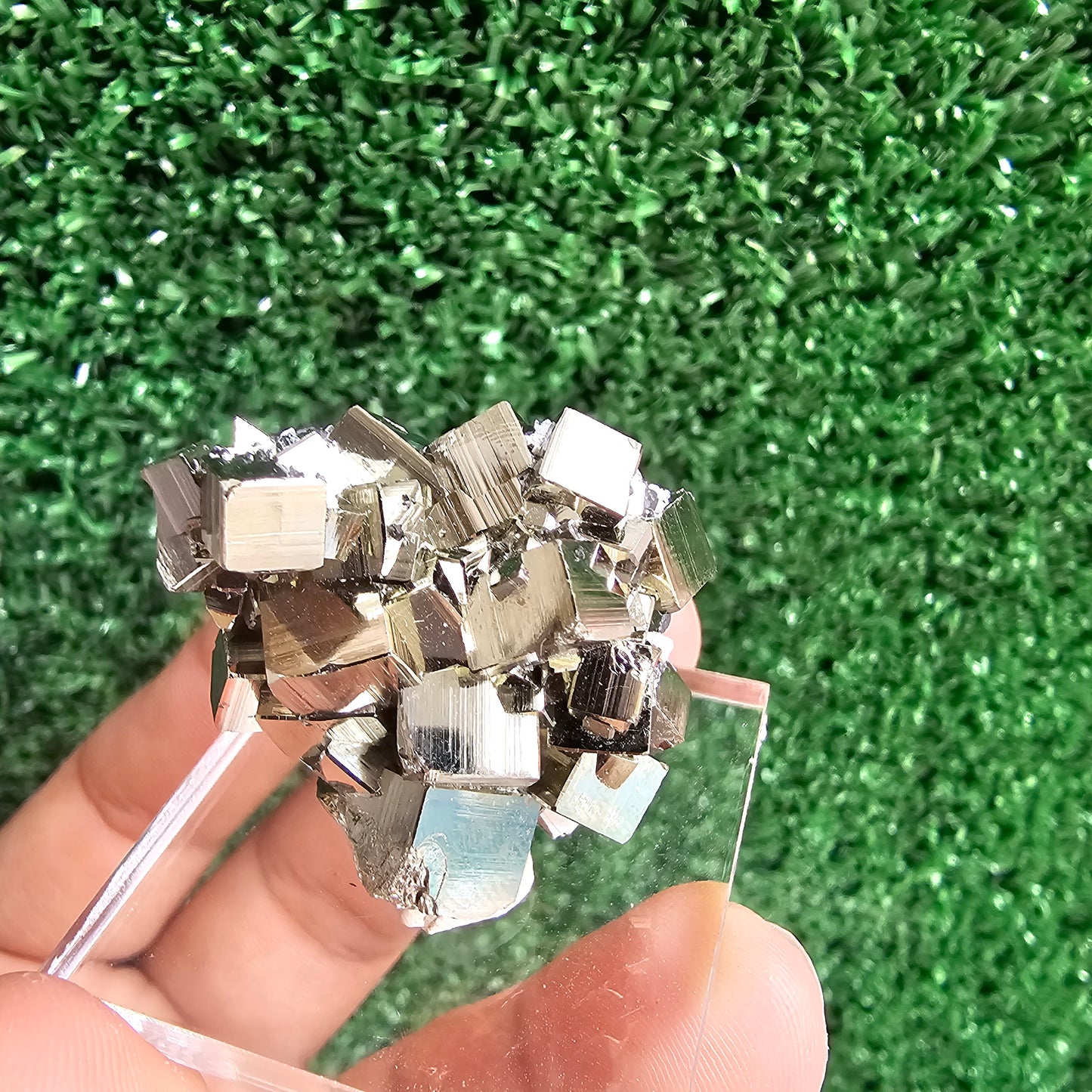 Pyrite Cubic