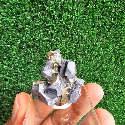 Galena with Pyrite octahedral