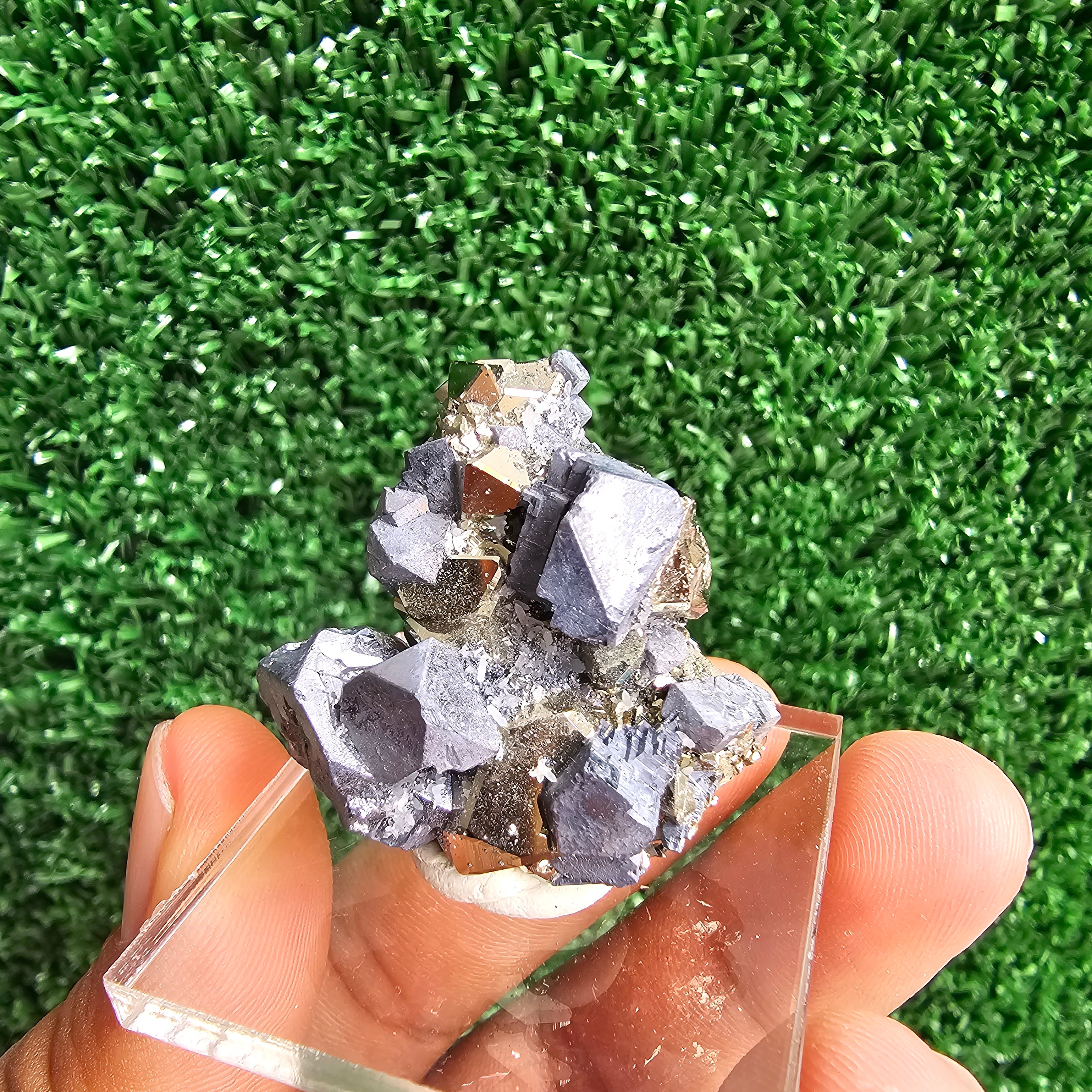 Galena with Pyrite octahedral