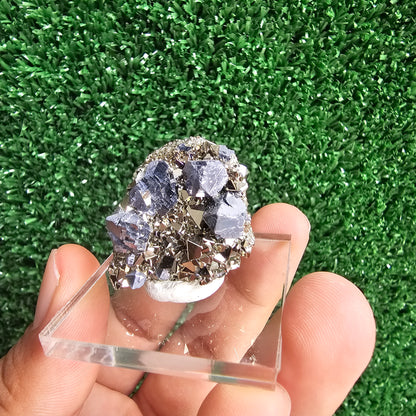 Galena with Pyrite octahedral