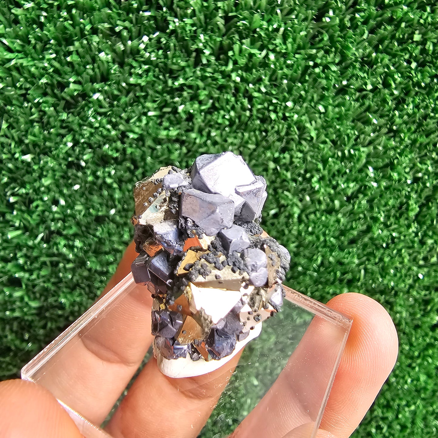 Galena with Pyrite octahedral