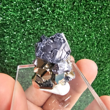 Galena with Pyrite octahedral