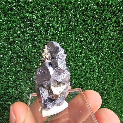 Galena with Pyrite octahedral