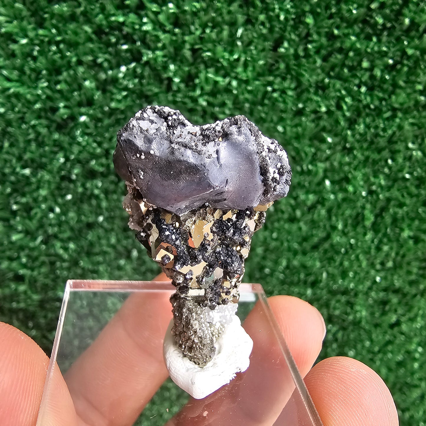 Galena with Pyrite octahedral