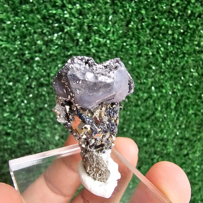 Galena with Pyrite octahedral