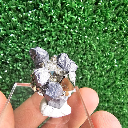 Galena with Pyrite octahedral