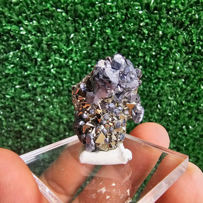 Galena with Pyrite octahedral