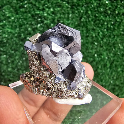 Galena with Pyrite octahedral