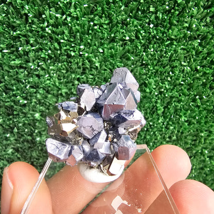 Galena with Pyrite octahedral