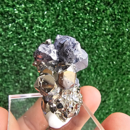 Galena with Pyrite octahedral