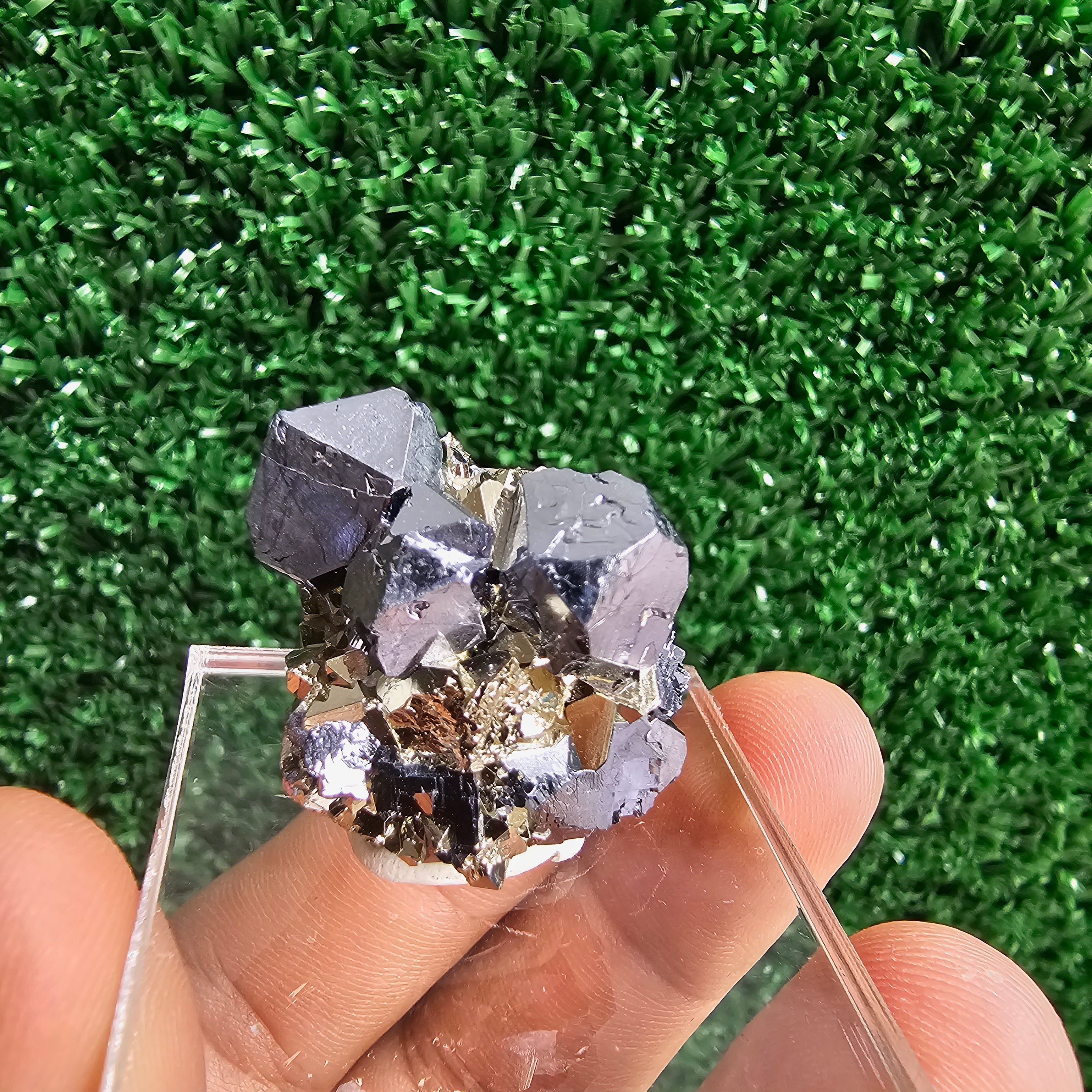 Galena with Pyrite octahedral
