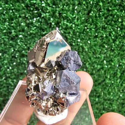 Galena with Pyrite octahedral