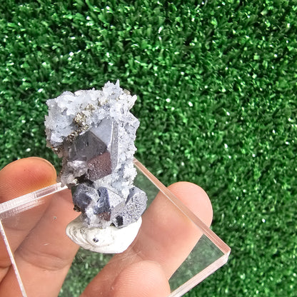 Galena with Pyrite octahedral