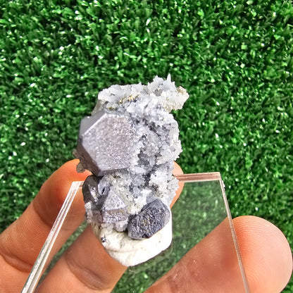 Galena with Pyrite octahedral