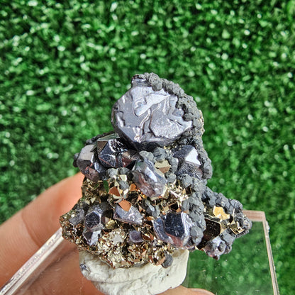 Galena with Pyrite octahedral