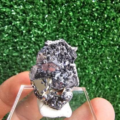 Galena with Pyrite octahedral