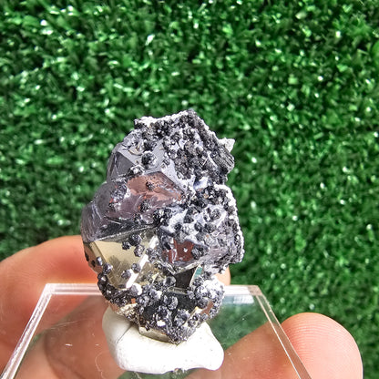 Galena with Pyrite octahedral