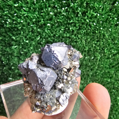 Galena with Pyrite octahedral