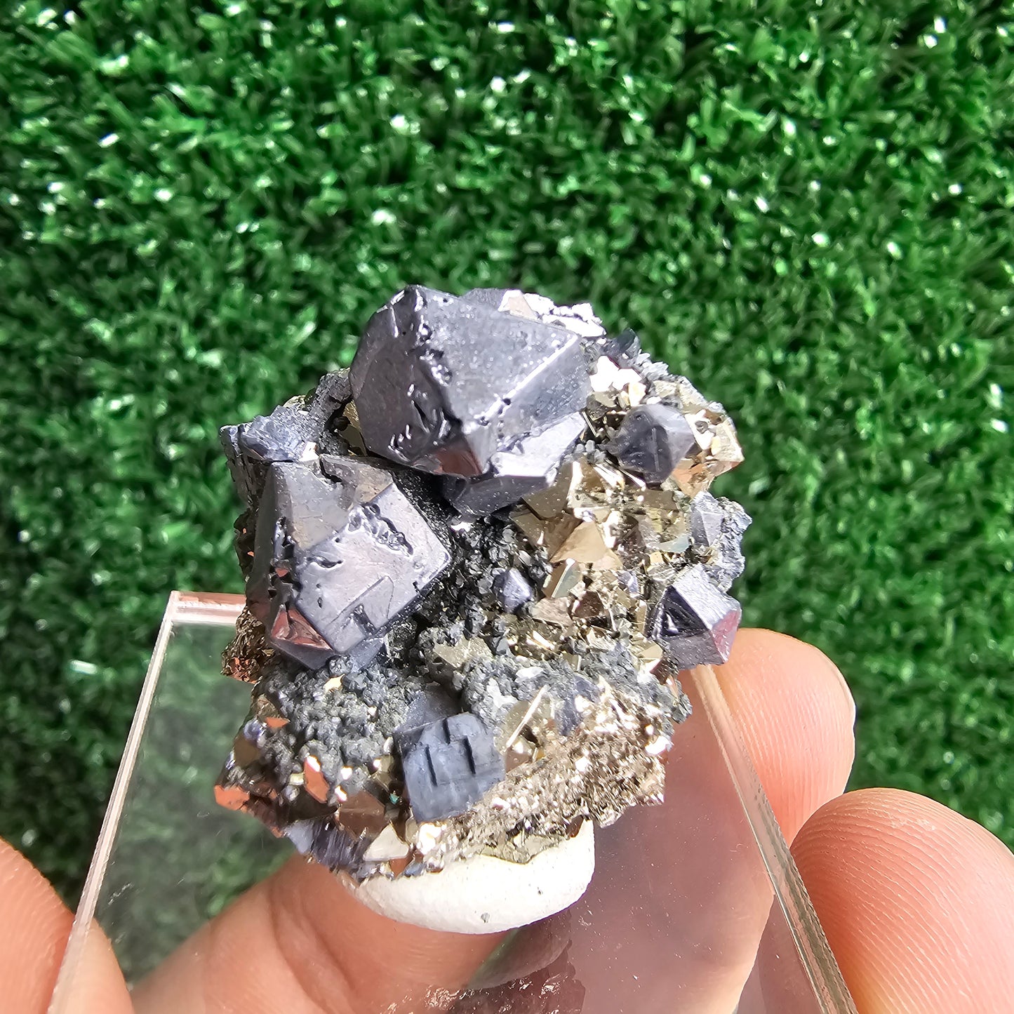 Galena with Pyrite octahedral