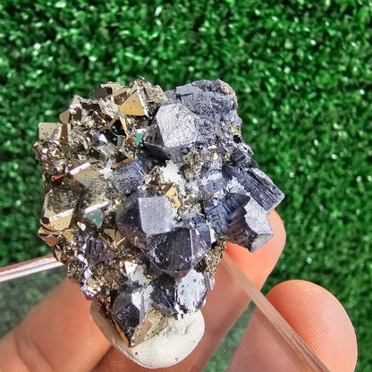 Galena with Pyrite octahedral