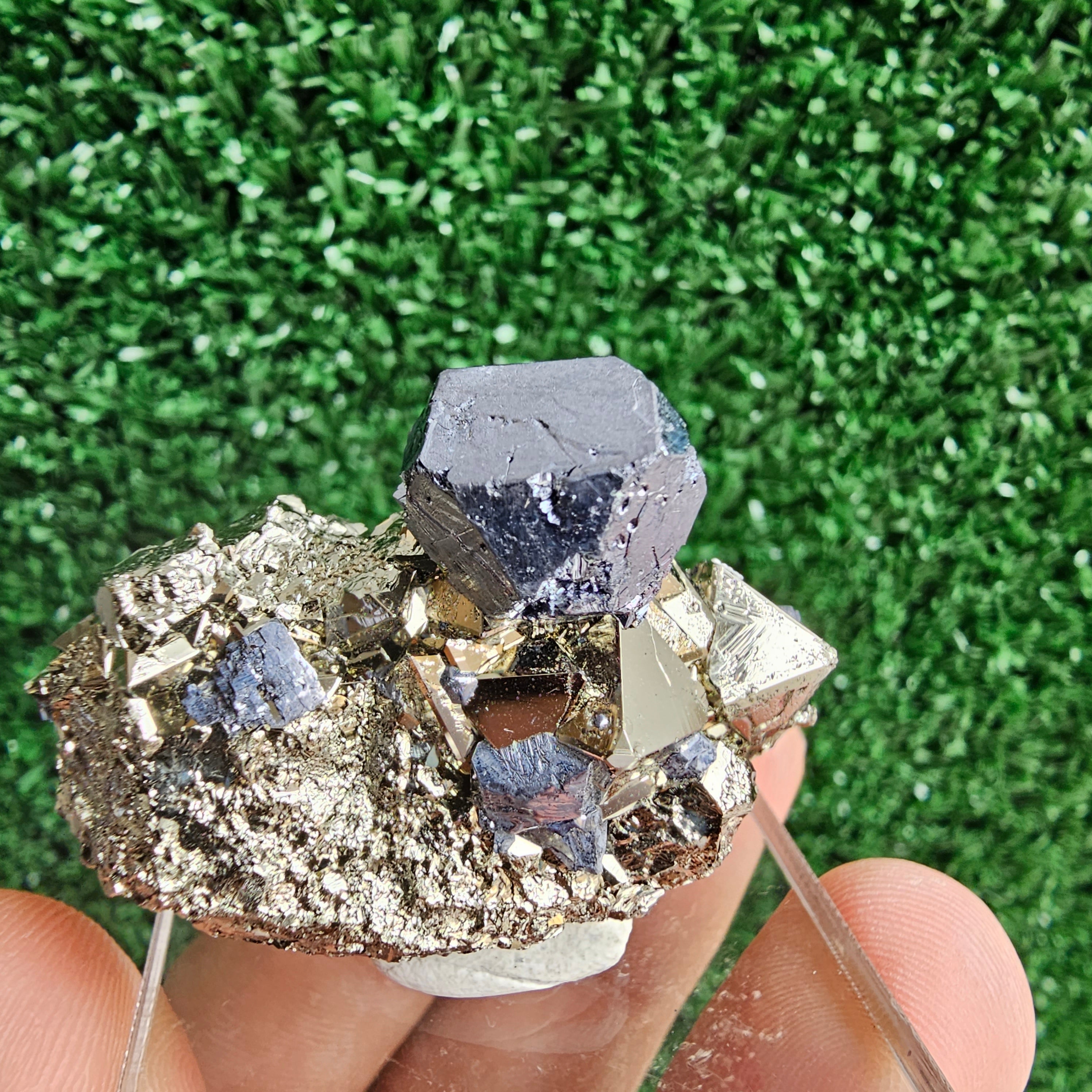 Galena with Pyrite octahedral