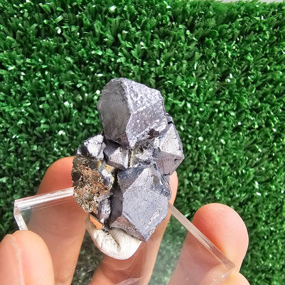 Galena with Pyrite octahedral