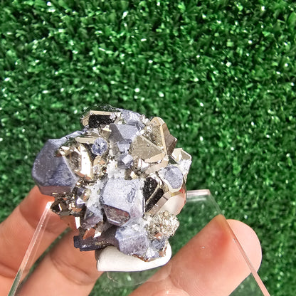 Galena with Pyrite octahedral