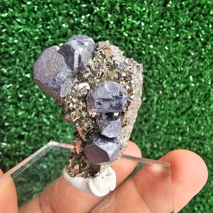 Galena with Pyrite octahedral