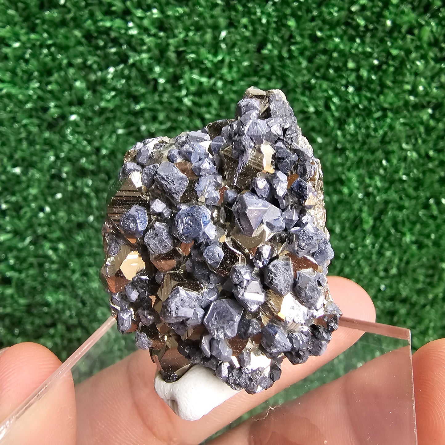 Galena with Pyrite octahedral