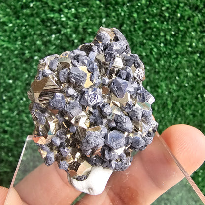 Galena with Pyrite octahedral